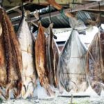 Ikan Asin Sibolga: Cita Rasa Khas yang Menggugah Selera
