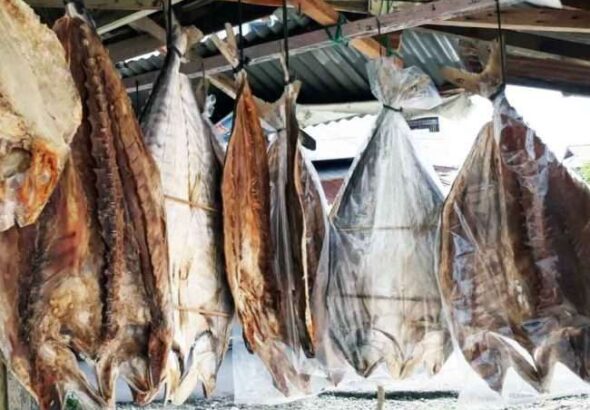 Ikan Asin Sibolga: Cita Rasa Khas yang Menggugah Selera
